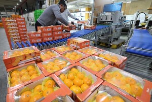 2월 생산자물가 석 달째 상승…먹거리값 폭등도 여전